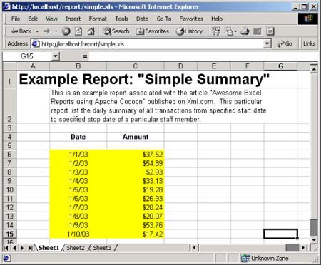Final Simple Example Report in Excel